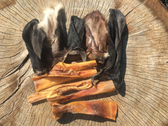 Hairy Cow Ear and Cow Hide Box